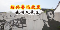 透板机网站免费中国绍兴-鲁迅故里旅游风景区